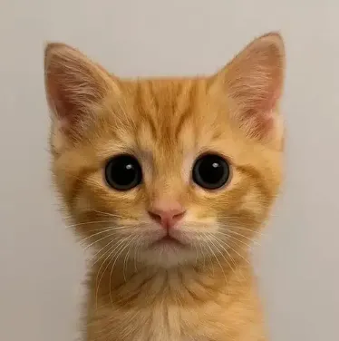 neko Logo