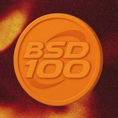 BONKSD100 Logo