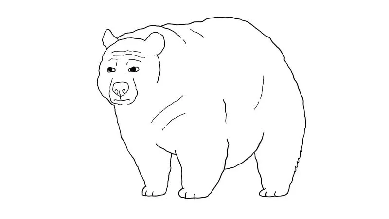 Bearjak Logo